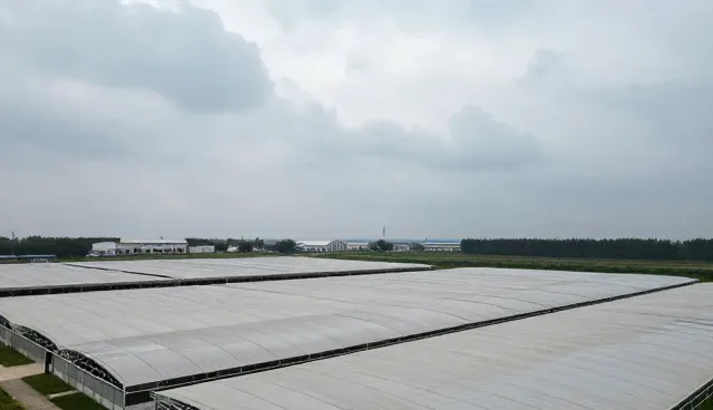 广州网站制作哪家公司好,如何选择优质企业推广服务